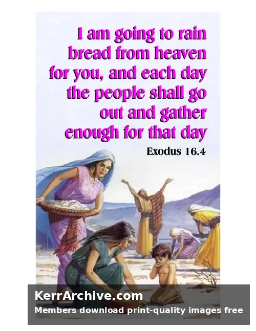 Year A After Pentecost Proper 20 — Exodus 16:4