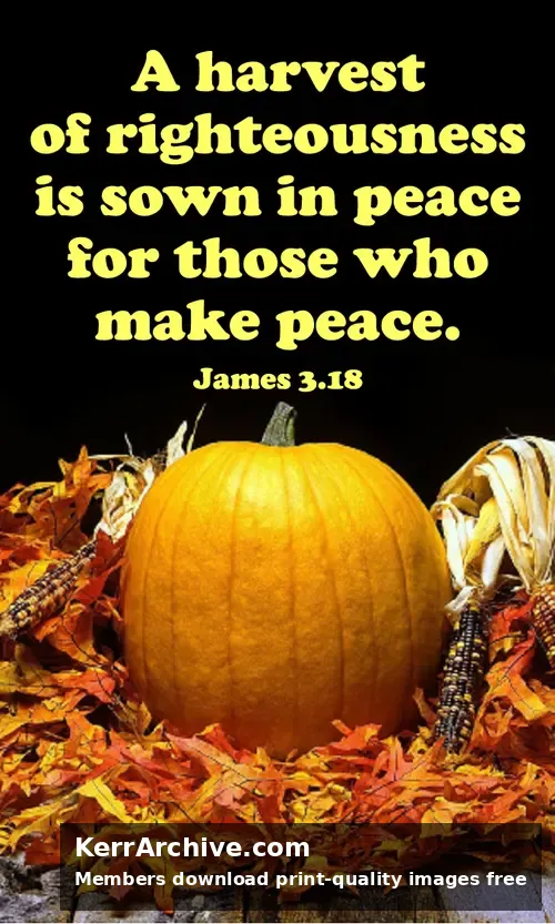 Year B After Pentecost Proper 20 — James 3:1