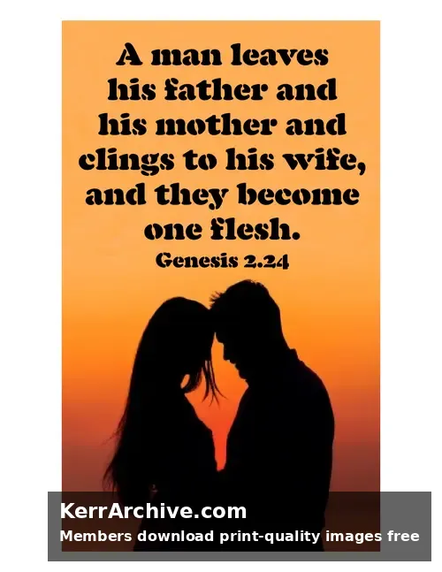 Year B After Pentecost Proper 22 — Genesis 2:24