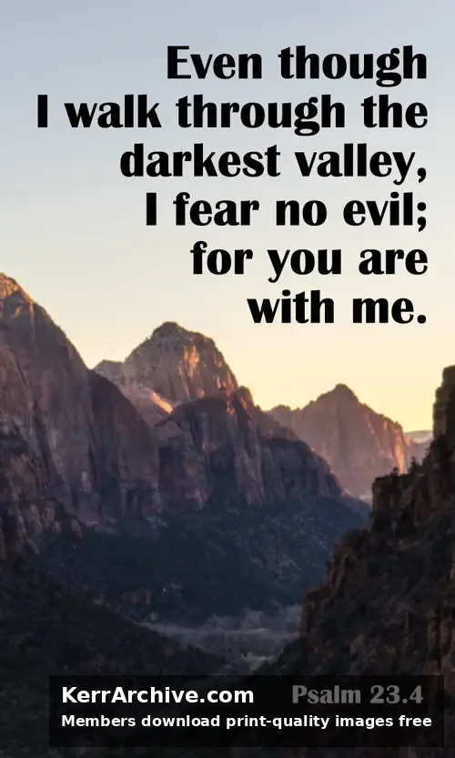 Year A After Pentecost Proper 23 — Psalms 23:4