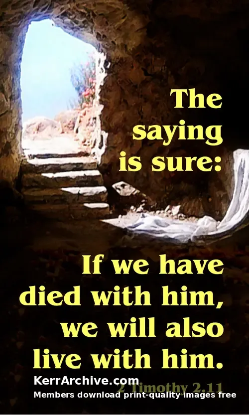 Year C After Pentecost Proper 23 — 2 Timothy 2:11