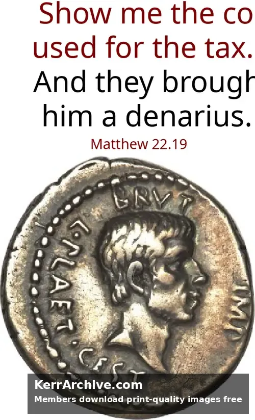 After Pentecost Proper 24