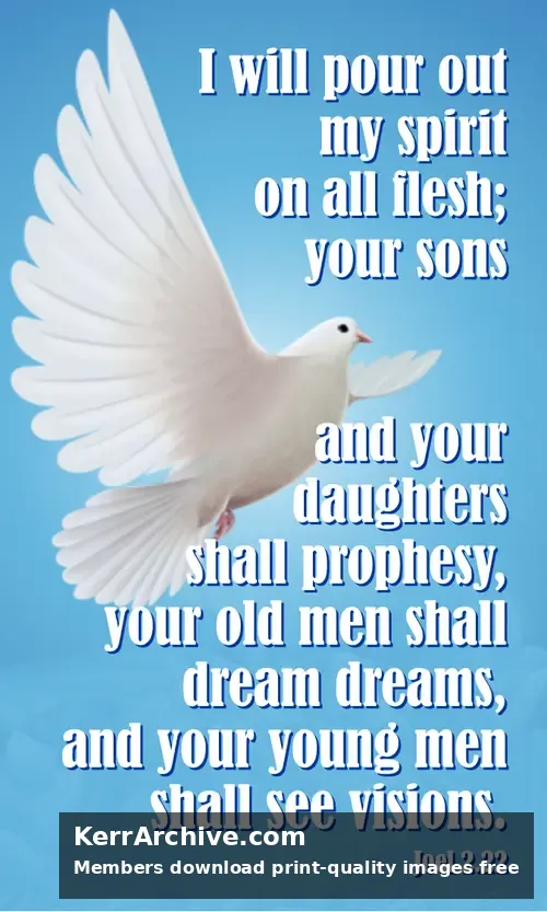 Year C After Pentecost Proper 25 — Joel 2:22