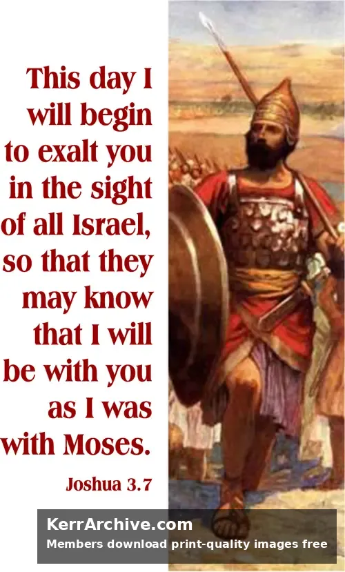 Year A After Pentecost Proper 26