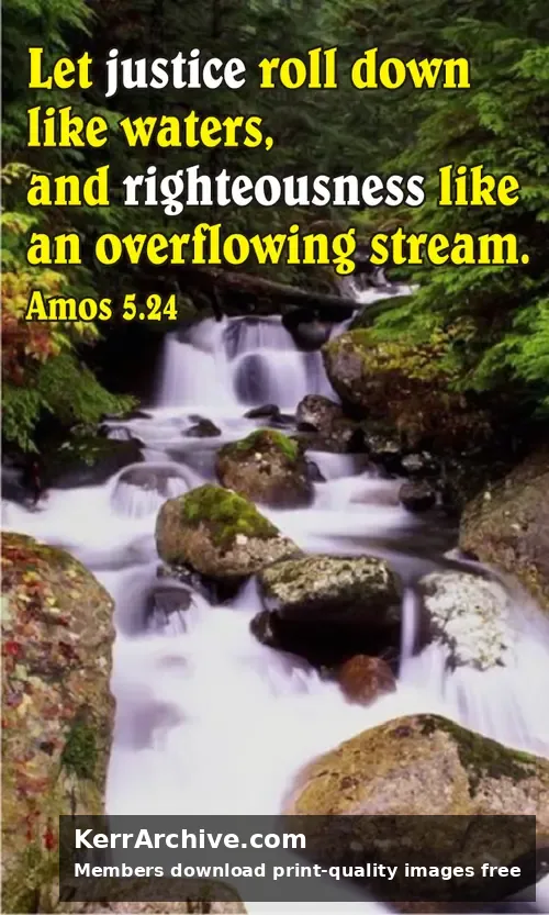 Year A After Pentecost Proper 27