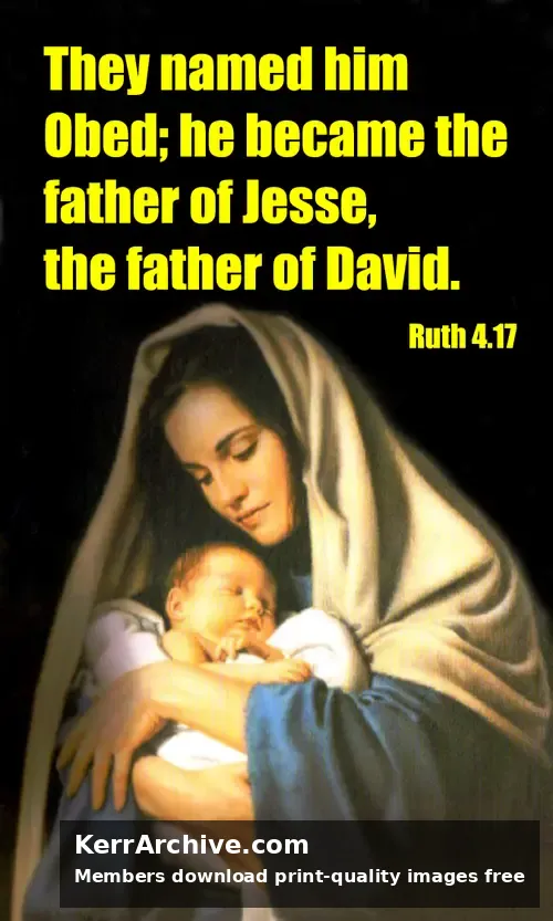 Year B After Pentecost Proper 27 — Ruth 4:17
