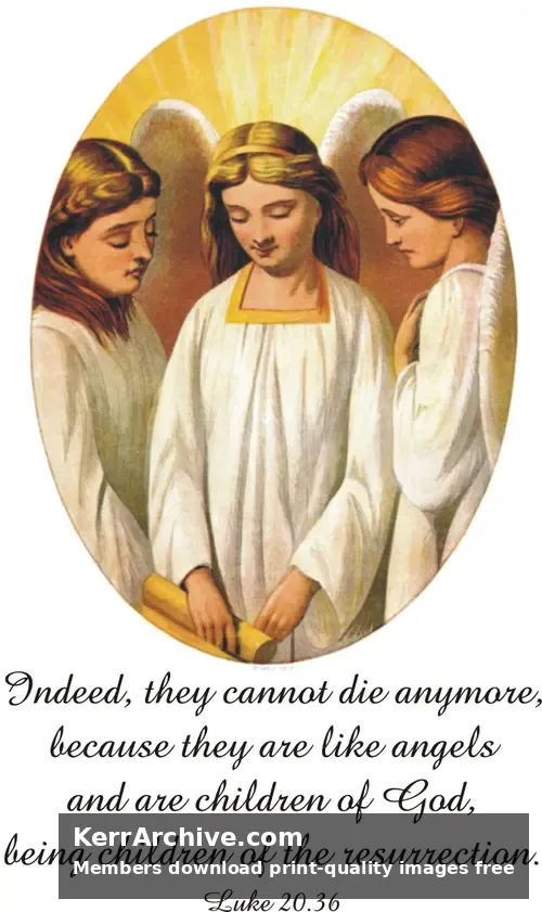 Year C After Pentecost Proper 27