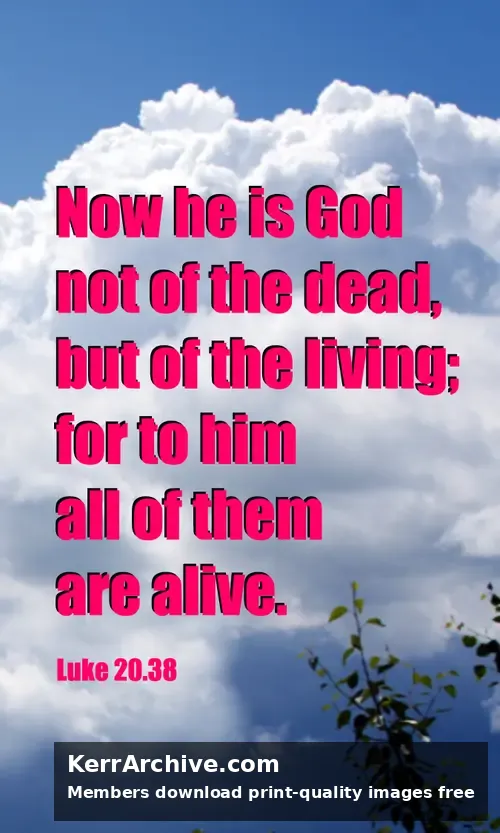 Year C After Pentecost Proper 27 — Luke 20:38