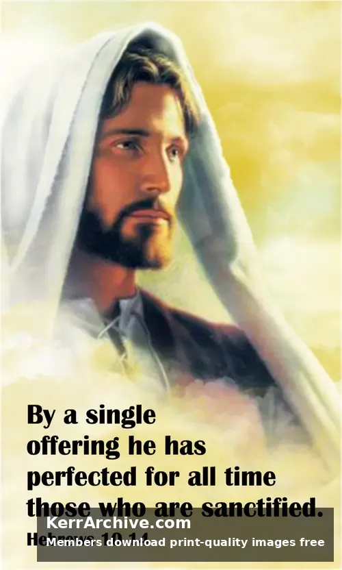 Year B After Pentecost Proper 28