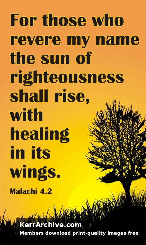 Year C After Pentecost Proper 28