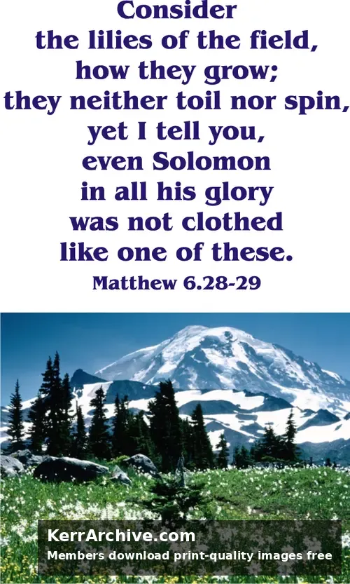 Year A Epiphany Eighth Sunday