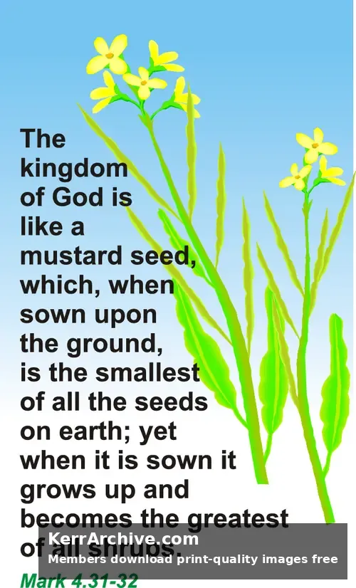 Year B After Pentecost Proper 6