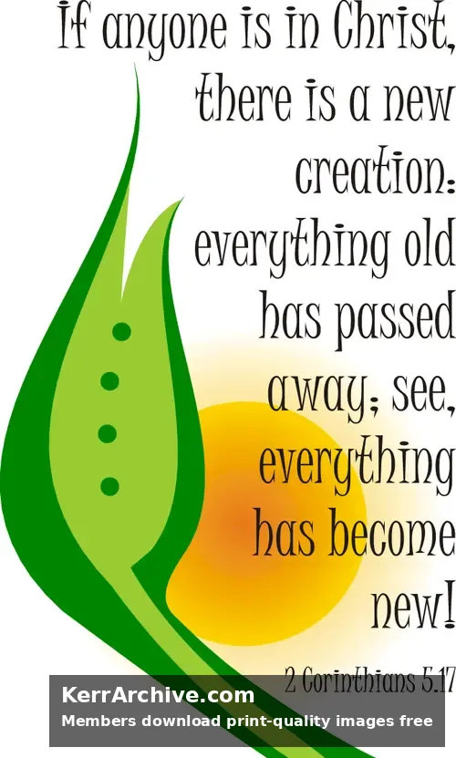 Year B After Pentecost Proper 6