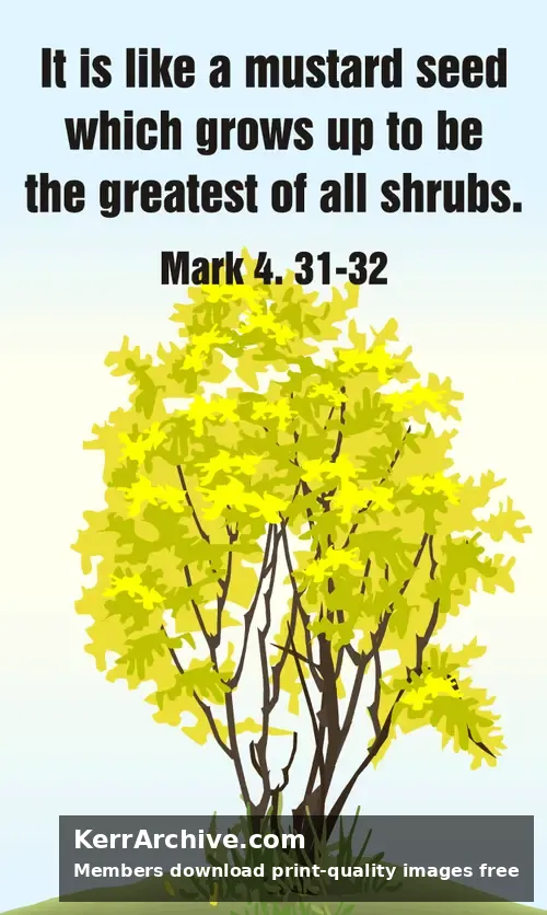 Year B After Pentecost Proper 6