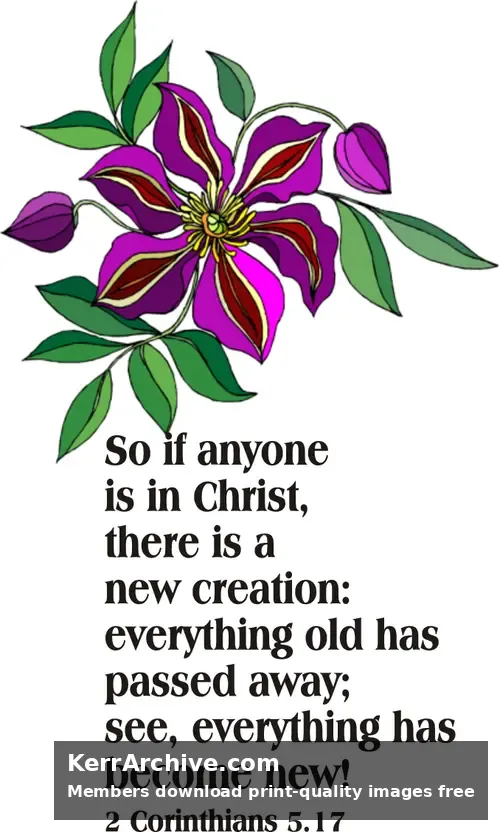Year B After Pentecost Proper 6