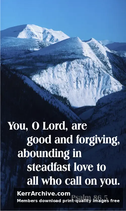 Year A After Pentecost Proper 7