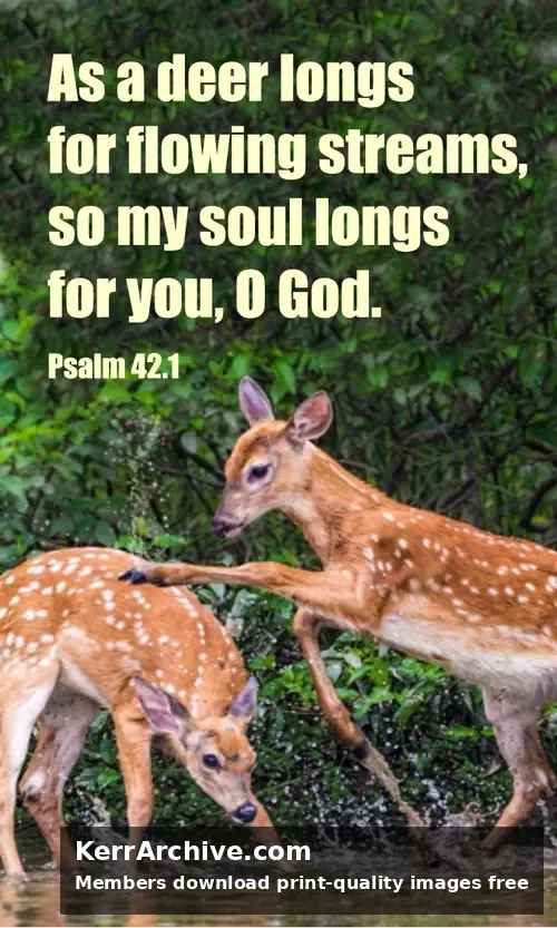 Year C After Pentecost Proper 7 — Psalms 42:1