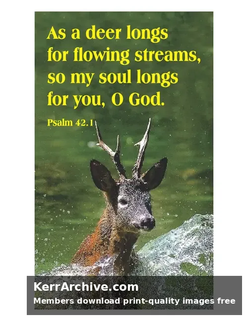 Year C After Pentecost Proper 7 — Psalms 42:1