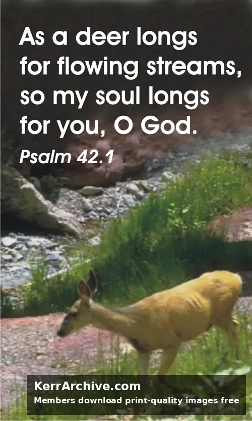 Year C After Pentecost Proper 7