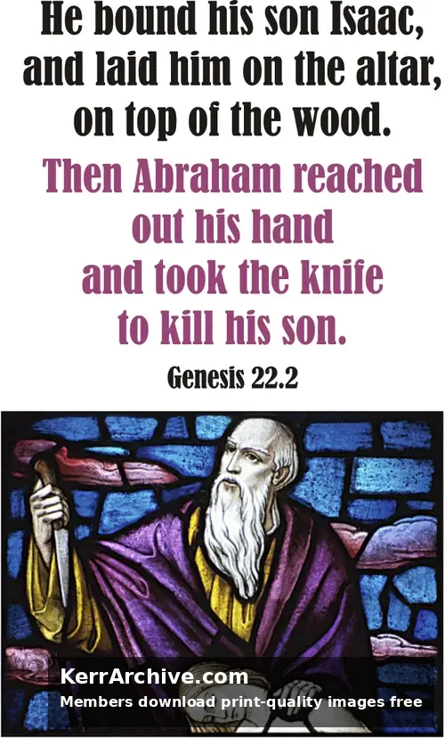 Year A After Pentecost Proper 8