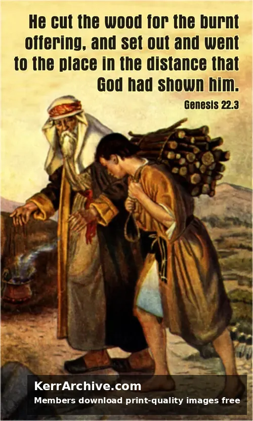 Year A After Pentecost Proper 8