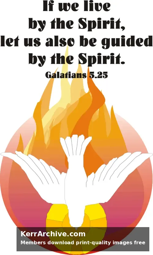 Year C After Pentecost Proper 8
