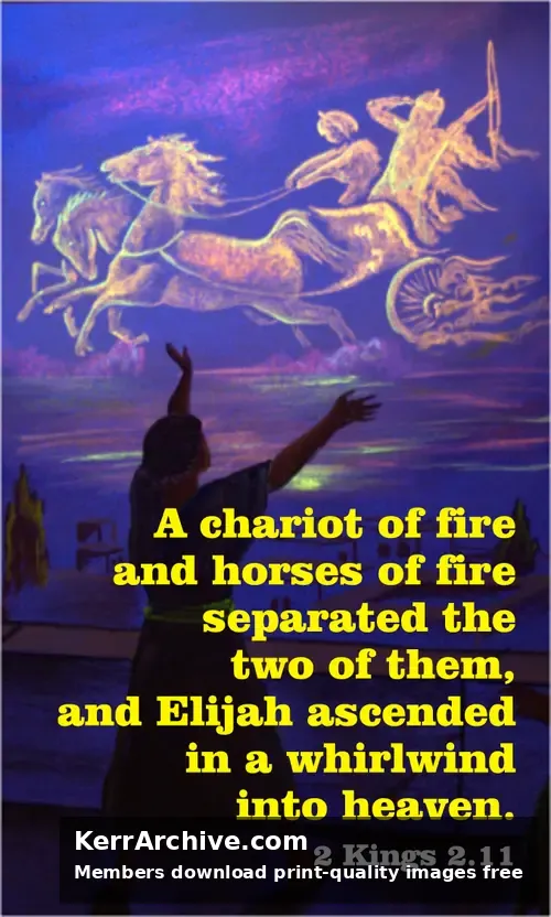 Year C After Pentecost Proper 8