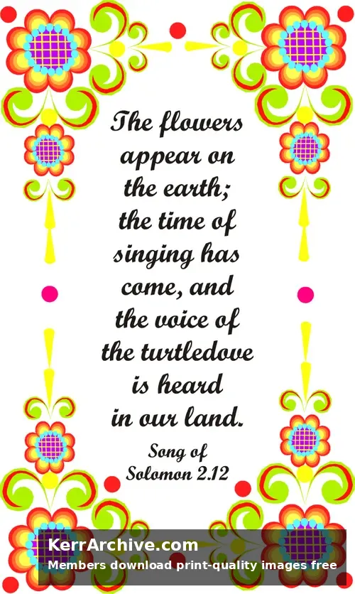 Year A After Pentecost Proper 9