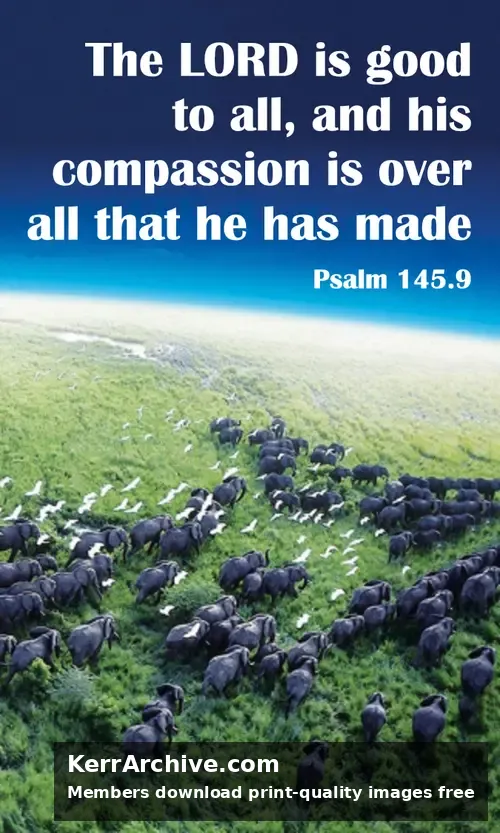Year A After Pentecost Proper 9 — Psalms 145:9
