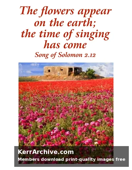 Year A After Pentecost Proper 9 — The Song of Solomon 2:12