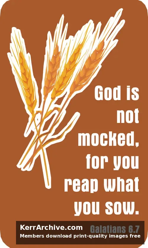 Year C After Pentecost Proper 9