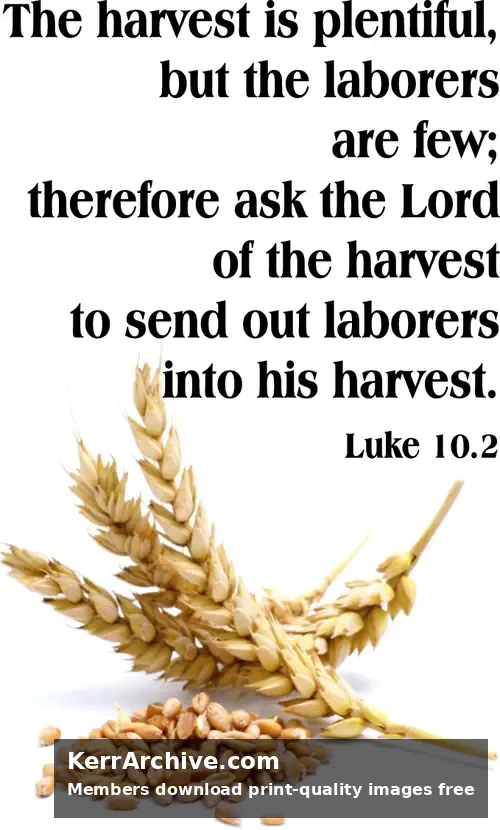 Year C After Pentecost Proper 9 — Luke 10:2