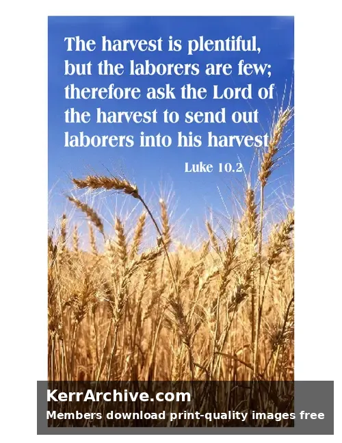 Year C After Pentecost Proper 9 — Luke 10:2