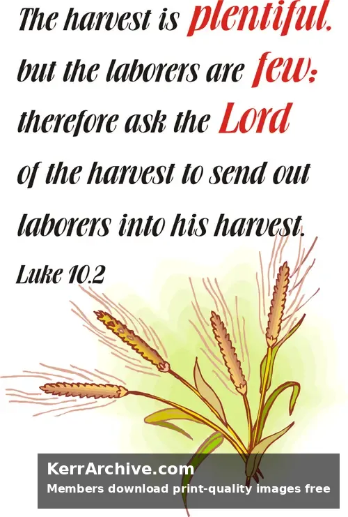 Year C After Pentecost Proper 9