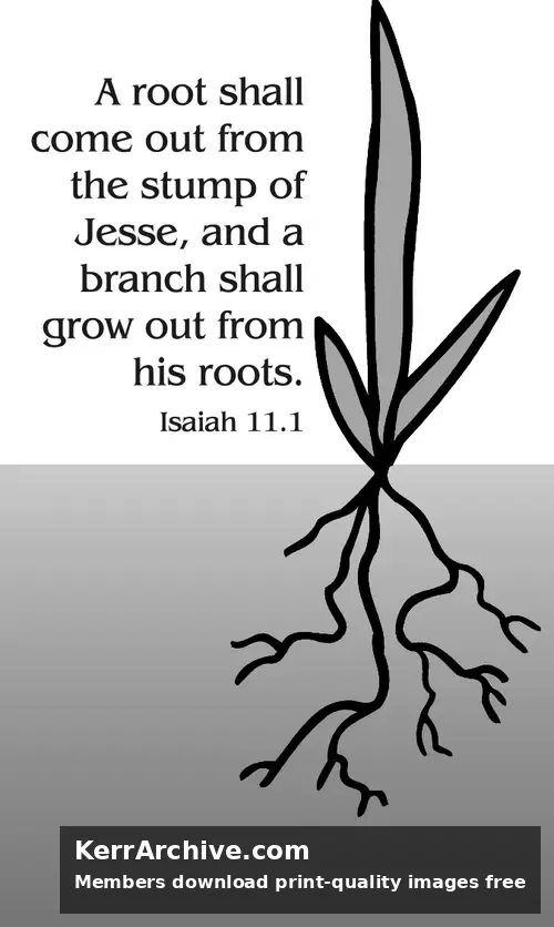 Year A Advent Second Sunday (grayscale)