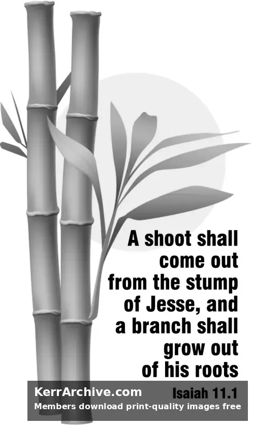 Year A Advent Second Sunday — Isaiah 11:1 (grayscale)