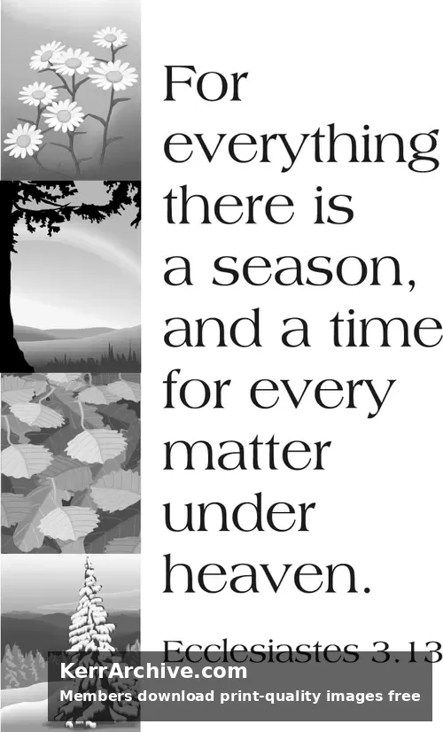 Year B Christmas First Sunday After Christmas (grayscale)