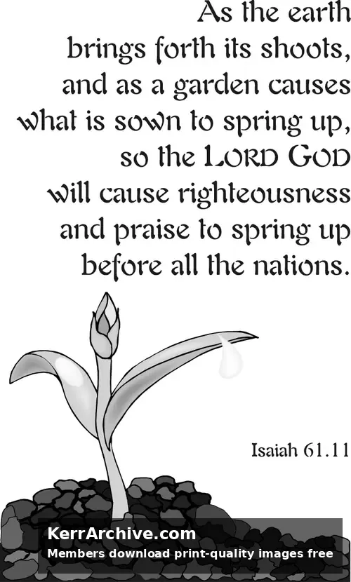 Year B Christmas First Sunday After Christmas (grayscale)