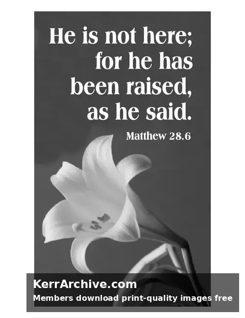 Year A Easter Sunday — Matthew 28:6 (grayscale)