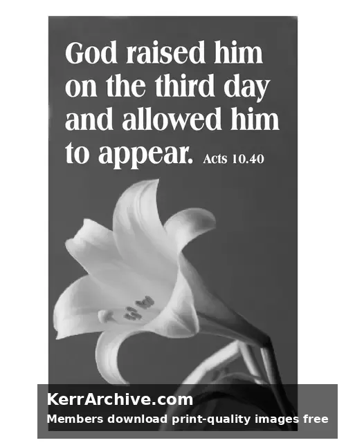 Year C Easter Sunday — Acts 10:40 (grayscale)