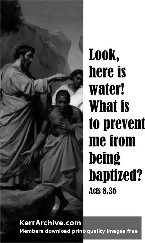 Year B Easter Fifth Sunday (grayscale)