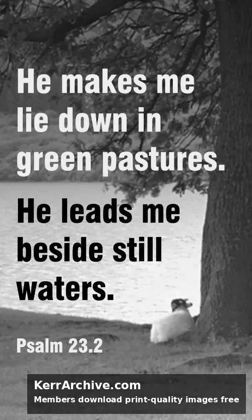 Year B Easter Four Sunday — Psalms 23:2 (grayscale)