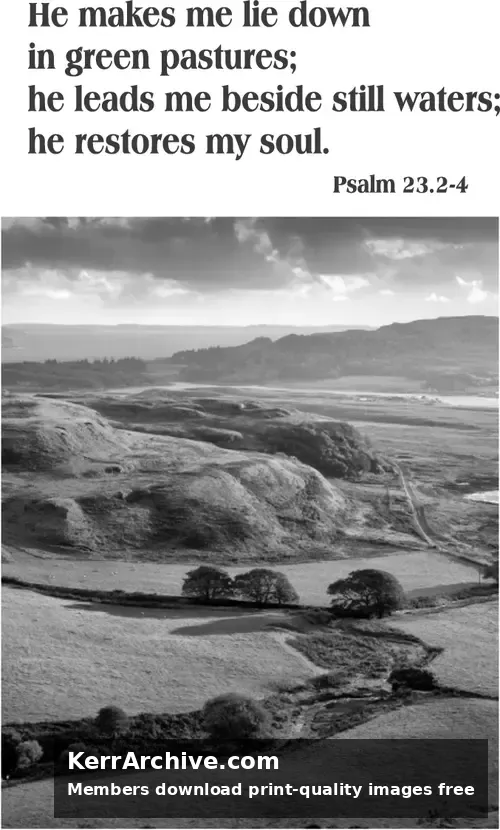 Year C Easter Fourth Sunday (grayscale)