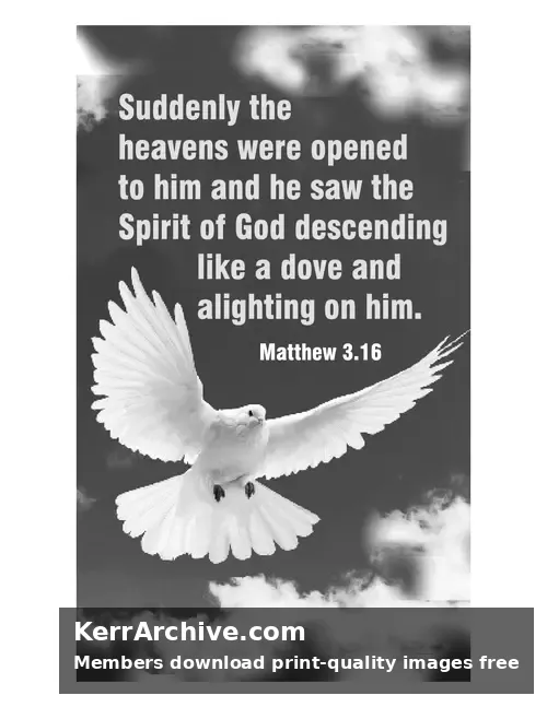 Year A Epiphany First Sunday — Matthew 3:16 (grayscale)