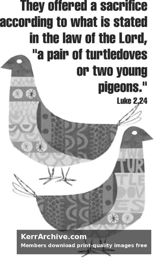Year C Epiphany Four Sunday — Luke 2:24 (grayscale)