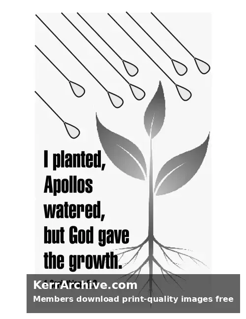 Year A Epiphany Six Sunday — 1 Corinthians 3:6 (grayscale)