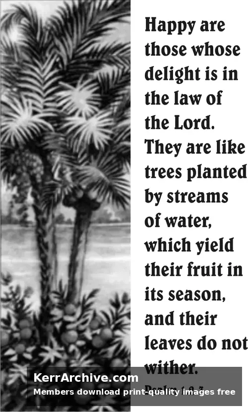 Year C Epiphany Sixth Sunday (grayscale)