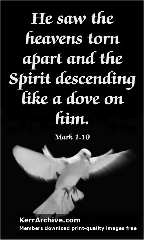 Year B Lent First Sunday (grayscale)