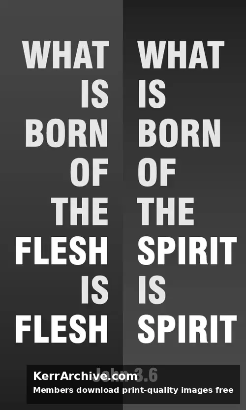 Year A Lent Second Sunday (grayscale)