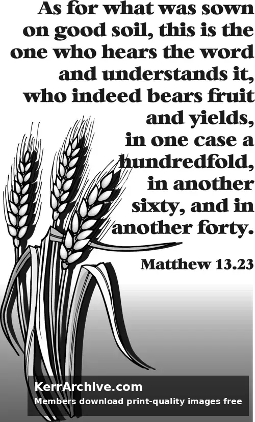 Year A After Pentecost Proper 10 (grayscale)